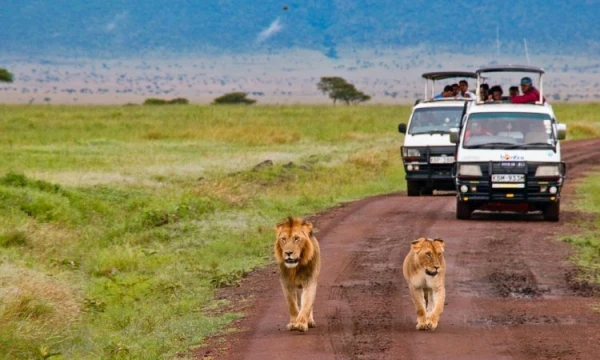 Szafari (2+5) - MASAI MARA, repülővel 4. kép