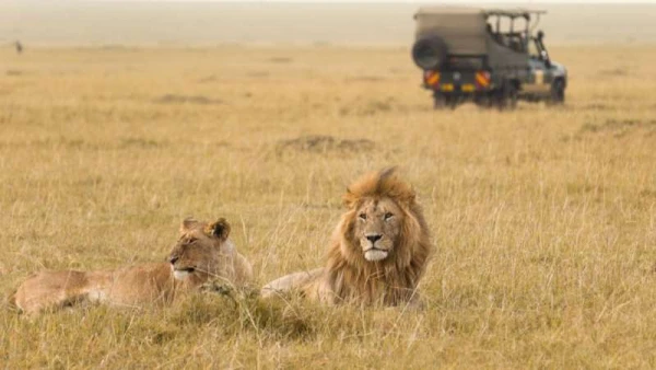 Szafari (2+5) - MASAI MARA, repülővel 5. kép