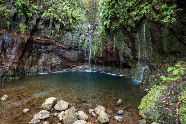 MADEIRA REPÜLŐVEL - Az Atlanti-óceán úszó Virágos Kertje **** 1. kép