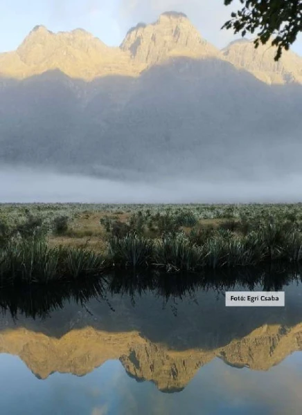 Új-Zéland kékje 3. kép