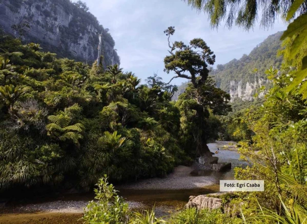 Új-Zéland kékje kép