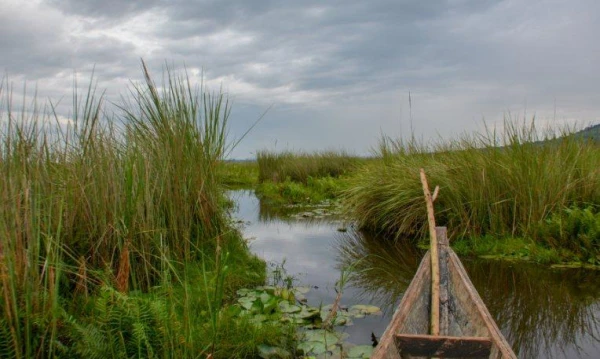 Uganda varázsa Csimpánzok és hegyi gorillák világa 26. kép