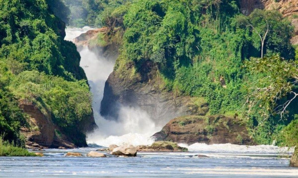 Uganda varázsa Csimpánzok és hegyi gorillák világa 21. kép
