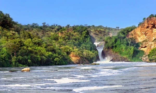 Uganda varázsa Csimpánzok és hegyi gorillák világa 22. kép
