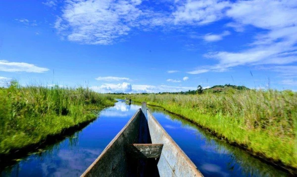 Uganda varázsa Csimpánzok és hegyi gorillák világa 28. kép