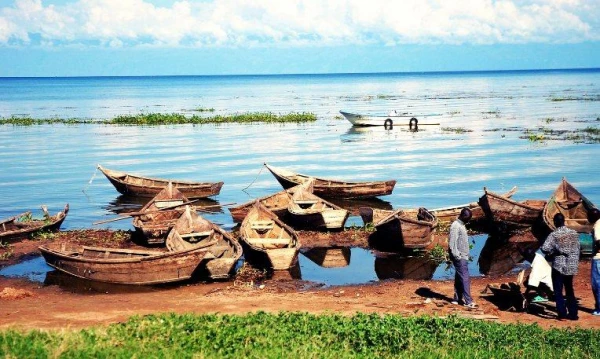 Uganda varázsa Csimpánzok és hegyi gorillák világa 25. kép