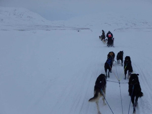 Svalbard (5 éj) + Oslo (2 éj) szállások 15. kép