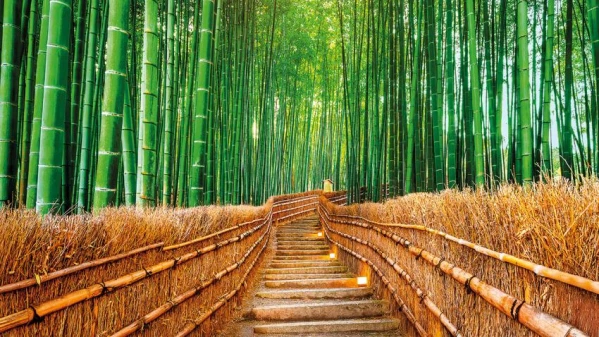 Japán körutazás 9. kép