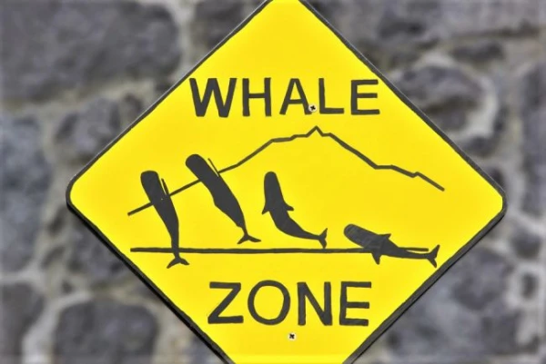 A varázslatos Azori-szigetek - csoportos körutazás magyar idegenvezetéssel 2026.05.23-30. 5. kép