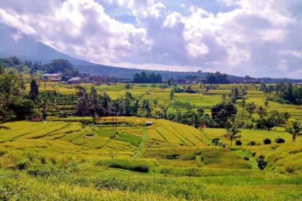 Bali: az istenek szigete -  csoportos utazás tengerparti pihenéssel, magyar idegenvezetővel  2026.05.11-21. 5. kép