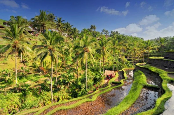 Bali: az istenek szigete -  csoportos utazás tengerparti pihenéssel, magyar idegenvezetővel  2026.05.11-21. 10. kép