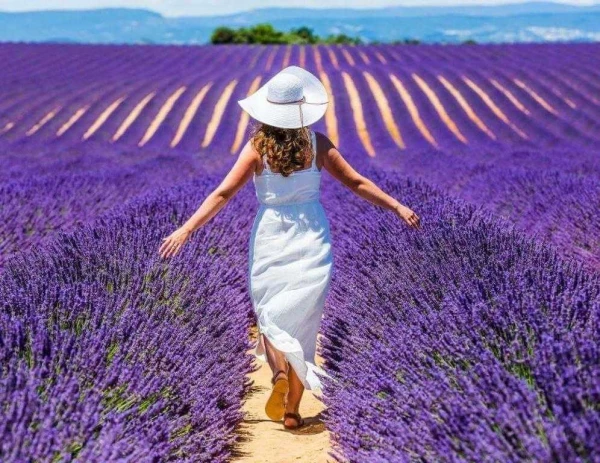 Provence-i ízelítő 21. kép