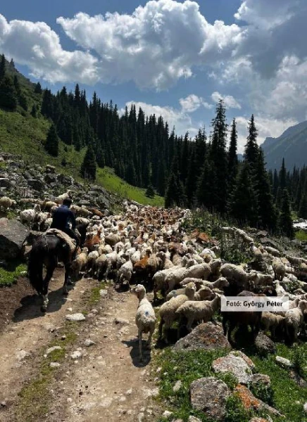 Kazahsztán és Kirgizisztán szállás 15. kép