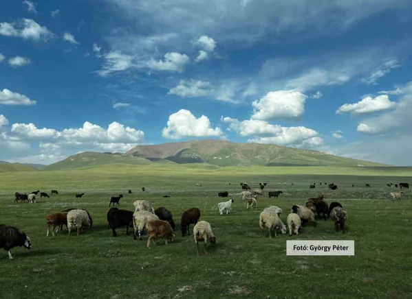 Kazahsztán és Kirgizisztán szállás 1. kép