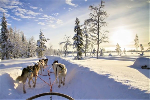 Téli kalandok finn Lappföldön - csoportos utazás magyar idegenvezetéssel - 2026.01.15-18. 10. kép