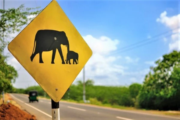 Srí Lanka, a fénylő sziget  - csoportos körutazás magyar idegenvezetéssel 2026.01.17-27. 10. kép