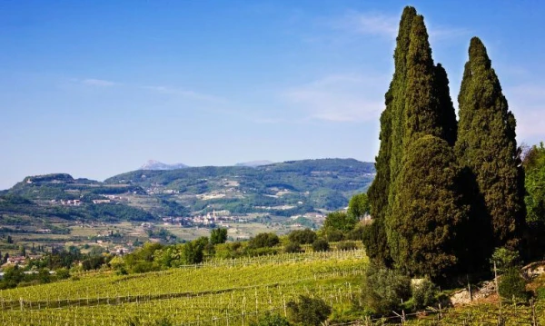 Veronai Operafesztivál látogatás, Észak-Olaszországgal fűszerezve **** 16. kép