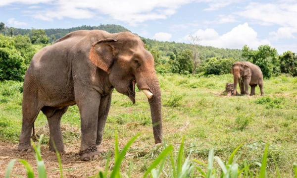 Thaiföld kiskürút, pihenéssel Krabiban **** 6. kép