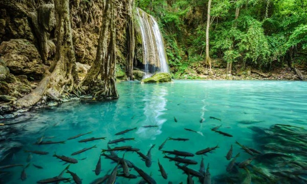 Thaiföld kiskürút, pihenéssel Krabiban **** 8. kép