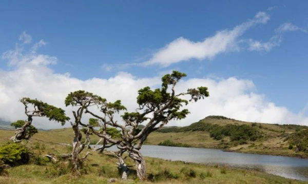 Azori-szigetek **** 21. kép