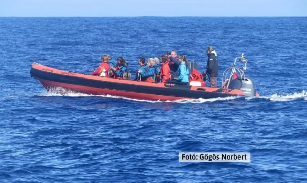 Azori-szigetek **** 26. kép