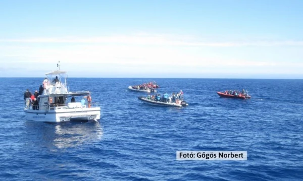 Azori-szigetek **** 27. kép