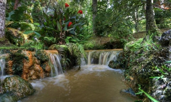 Azori-szigetek **** 13. kép