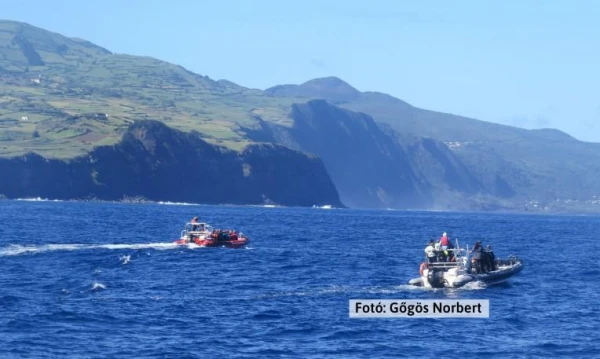 Azori-szigetek **** 28. kép