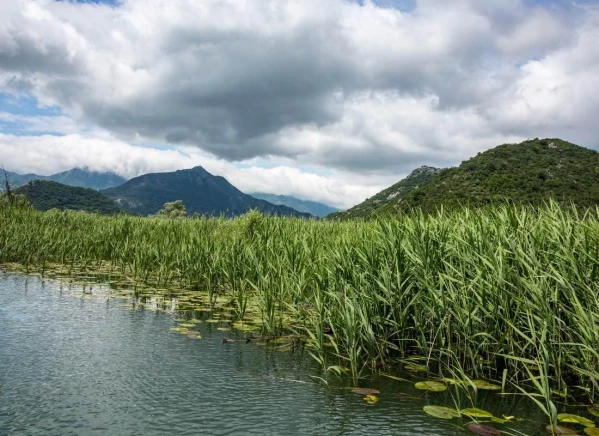 Albánia legszebb vidékein 8. kép