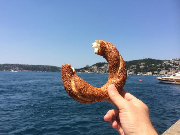 TAVASZKÖSZÖNTŐ ISZTAMBULBAN - Hajóval a Boszporuszon és a szultánok teaháza 24. kép