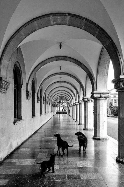 Hosszú hétvége Grúziában 8. kép