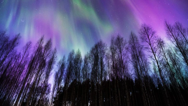 FINNORSZÁG - SZÁMIK, RÉNSZARVASOK ÉS HUSKYK FÖLDJÉN **** 23. kép