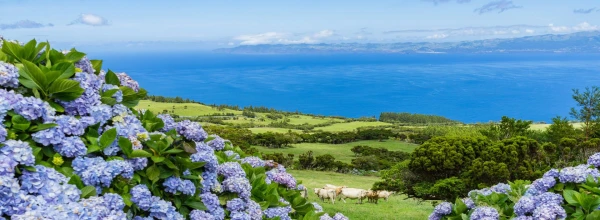 AZORI-SZIGETEK - SAO MIGUEL ÉS TERCEIRA **** 30. kép