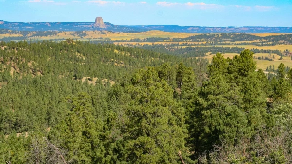 USA, YELLOWSTONE ÉS AZ IGAZI VADNYUGAT - HOSSZABBÍTÁSI LEHETŐSÉGGEL HAWAII-ON 9. kép