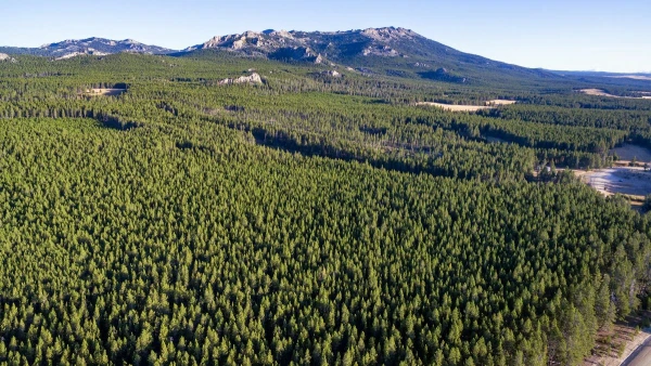 USA, YELLOWSTONE ÉS AZ IGAZI VADNYUGAT - HOSSZABBÍTÁSI LEHETŐSÉGGEL HAWAII-ON 10. kép