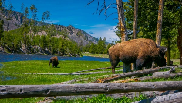 USA, YELLOWSTONE ÉS AZ IGAZI VADNYUGAT - HOSSZABBÍTÁSI LEHETŐSÉGGEL HAWAII-ON 11. kép