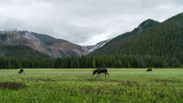 USA, YELLOWSTONE ÉS AZ IGAZI VADNYUGAT - HOSSZABBÍTÁSI LEHETŐSÉGGEL HAWAII-ON 21. kép