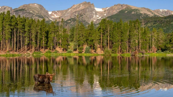 USA, YELLOWSTONE ÉS AZ IGAZI VADNYUGAT - HOSSZABBÍTÁSI LEHETŐSÉGGEL HAWAII-ON 23. kép