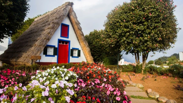 MADEIRA - CSOPORTOS CSILLAGTÚRA 10. kép