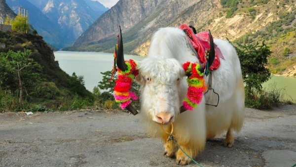 KÍNA ÉS TIBET 7. kép