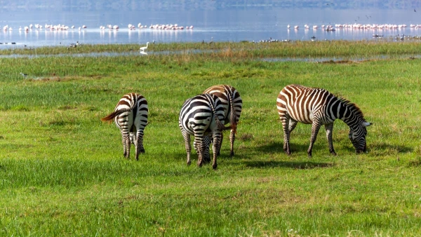 KENYAI KALANDOK - SZAFARI KÖRUTAZÁS PIHENÉSSEL 13. kép