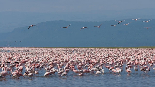 KENYAI KALANDOK - SZAFARI KÖRUTAZÁS PIHENÉSSEL 16. kép