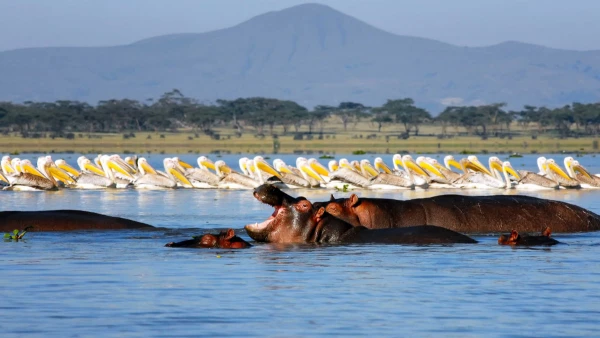 KENYAI KALANDOK - SZAFARI KÖRUTAZÁS PIHENÉSSEL 22. kép