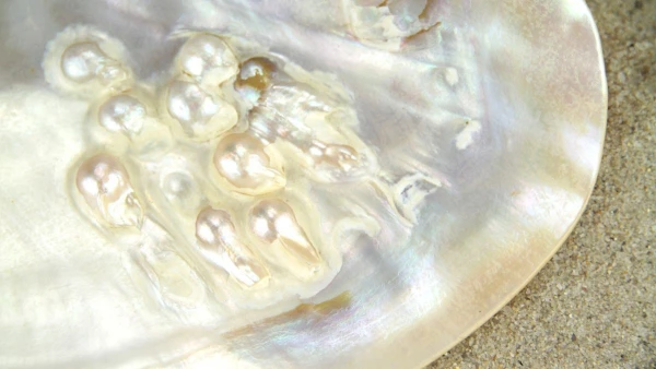 MALLORCAI HÉTVÉGE **** 8. kép