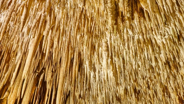 MALLORCAI HÉTVÉGE **** 9. kép