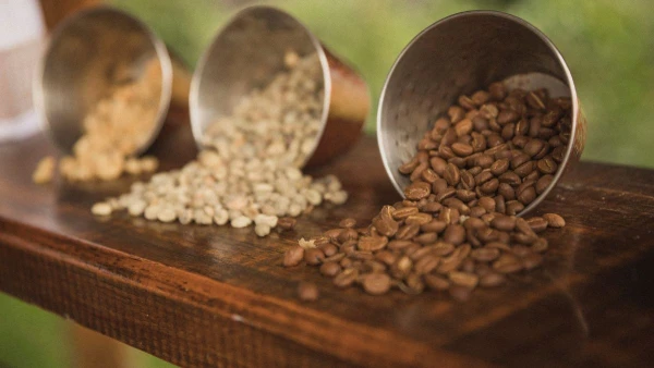 KOLUMBIA ÉS PANAMA - A KÁVÉ ÚTJÁN **** 9. kép