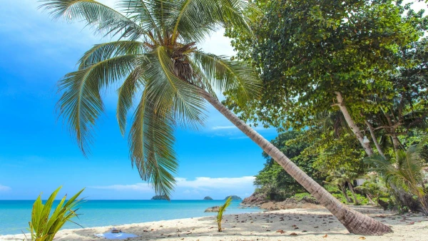 THAIFÖLD ÉS KAMBODZSA TENGERPARTI PIHENÉSSEL KOH CHANG SZIGETÉN **** 5. kép