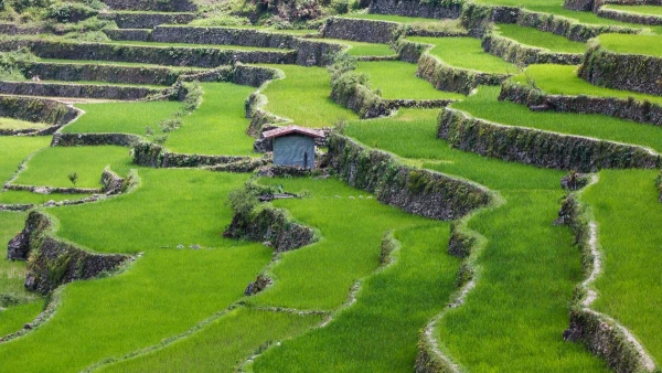 A FÜLÖP-SZIGETEK FELFEDEZÉSE **** 5. kép