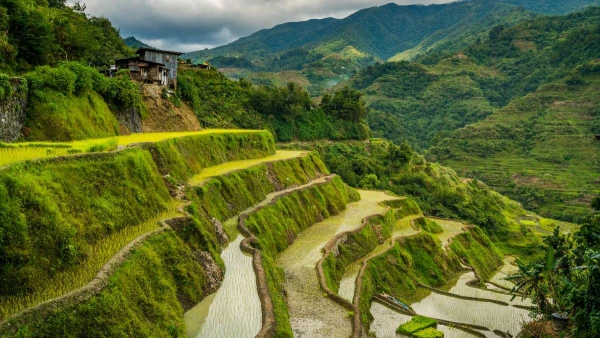 A FÜLÖP-SZIGETEK FELFEDEZÉSE **** 7. kép