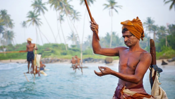 KÖRUTAZÁS SRÍ LANKÁN TENGERPARTI PIHENÉSSEL **** 1. kép